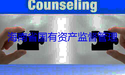 有福接受审海南省国有理委员会党资产监督管委副书记王查调查